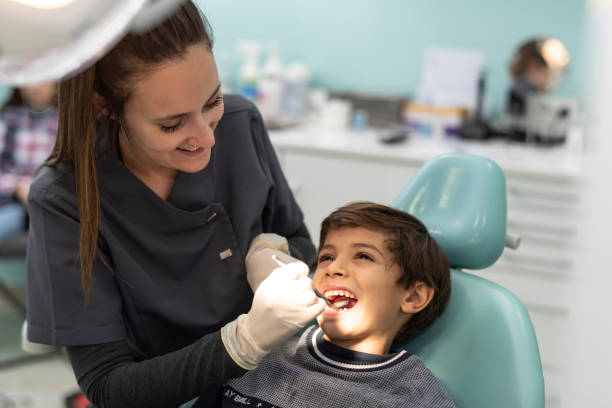 Best Emergency X-Rays and Diagnostics in Clearfield, PA
